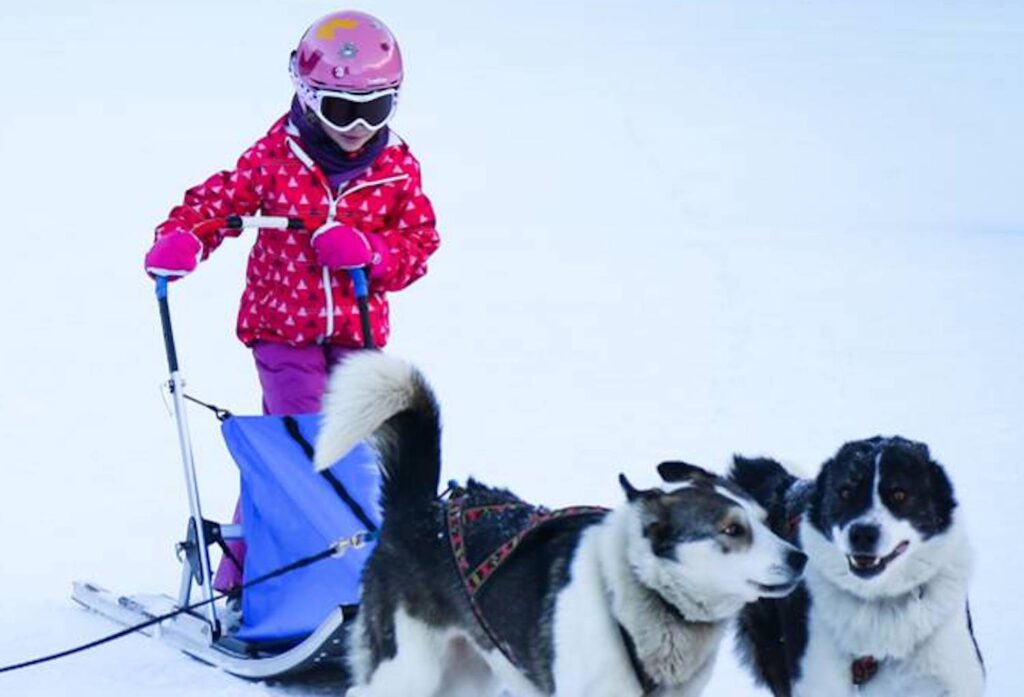 chien de traineau enfant Pelvoux